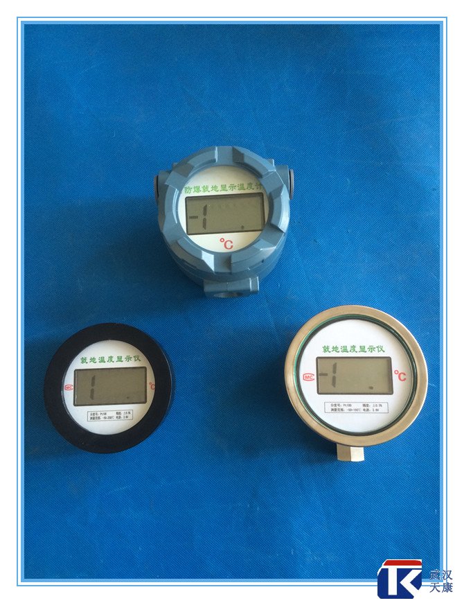 無源數(shù)顯溫度傳感器、無需外接電源、鋰電池供電